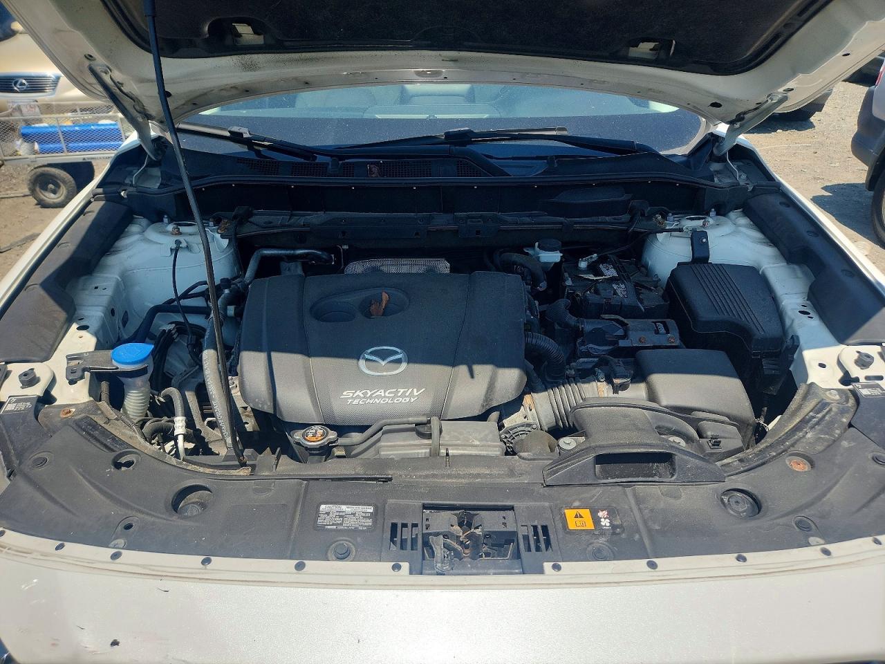 P11